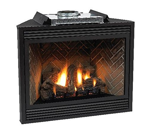 Empire Tahoe Premium 36 Direct-Vent Liquid Propane Millivolt Control  Fireplace - EmpireHeat.com