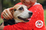 Save on smart pet gadgets that you (and your pet) will love