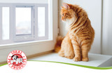 ​Throw door duty out the window