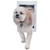 Ideal Pet Deluxe White Aluminum Frame Pet Door™