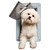 Ideal Pet Ruff Weather™ Pet Door