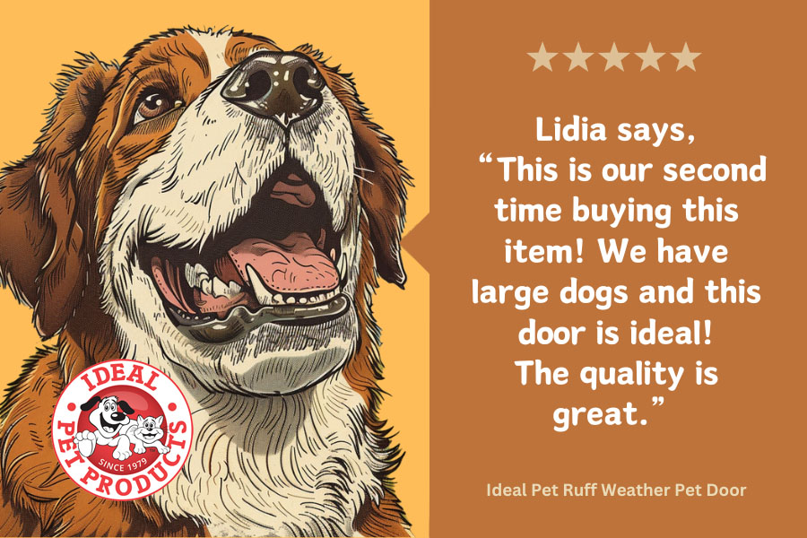 we-re-seeing-stars-ideal-pet-products