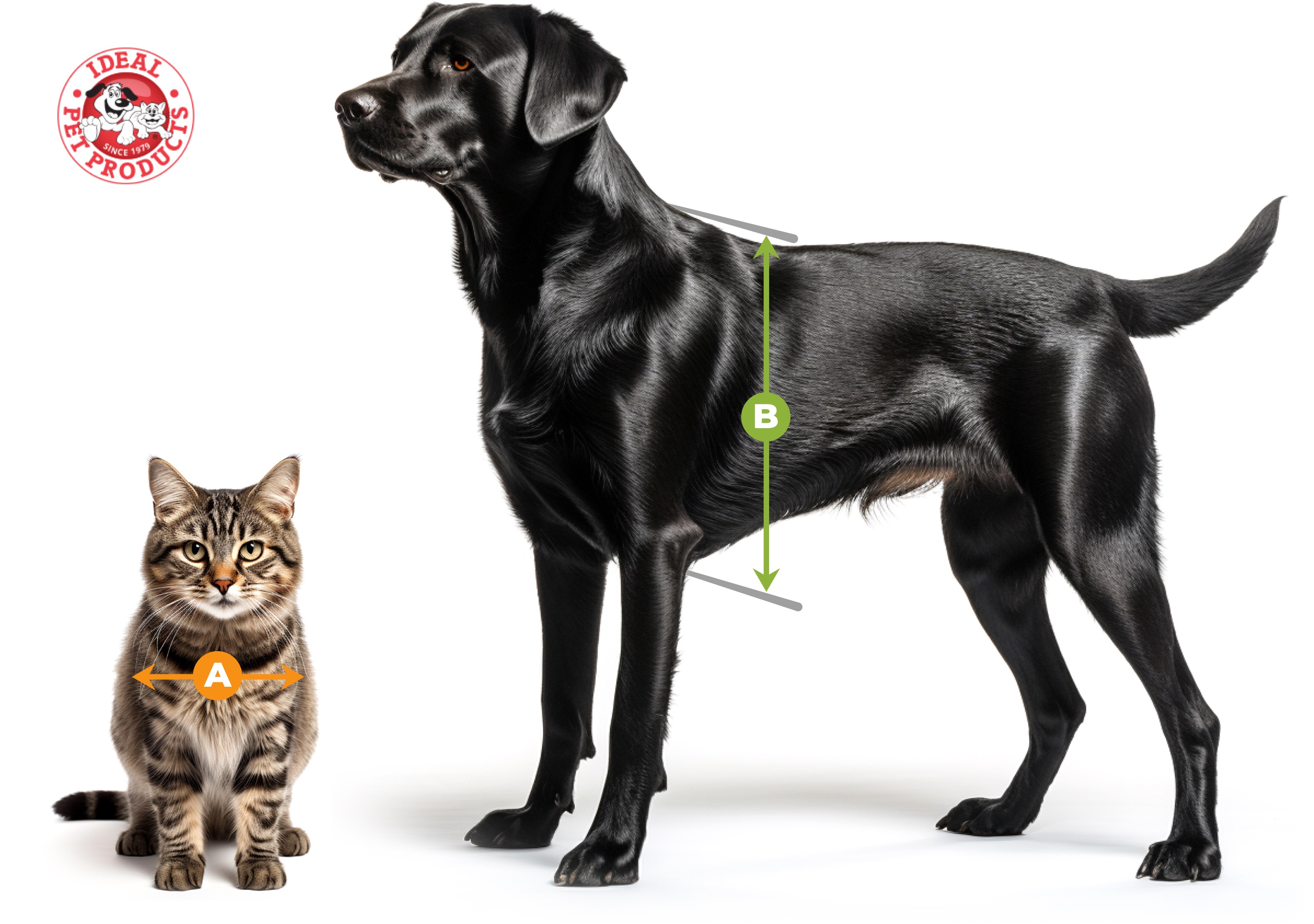 The easy way to measure your pet for the purrrfect pet door fit Ideal