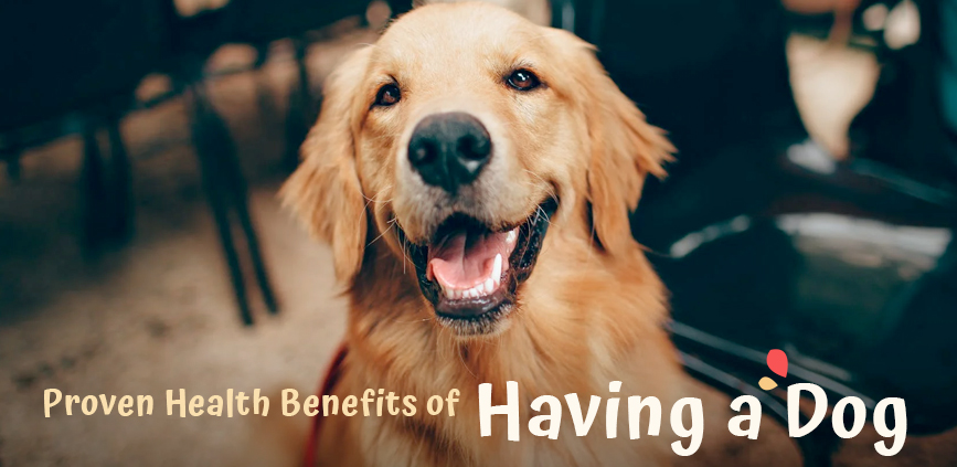Why Dog Proven Health Benefits of Having a Dog (As If Cuteness Wasn’t Enough ...