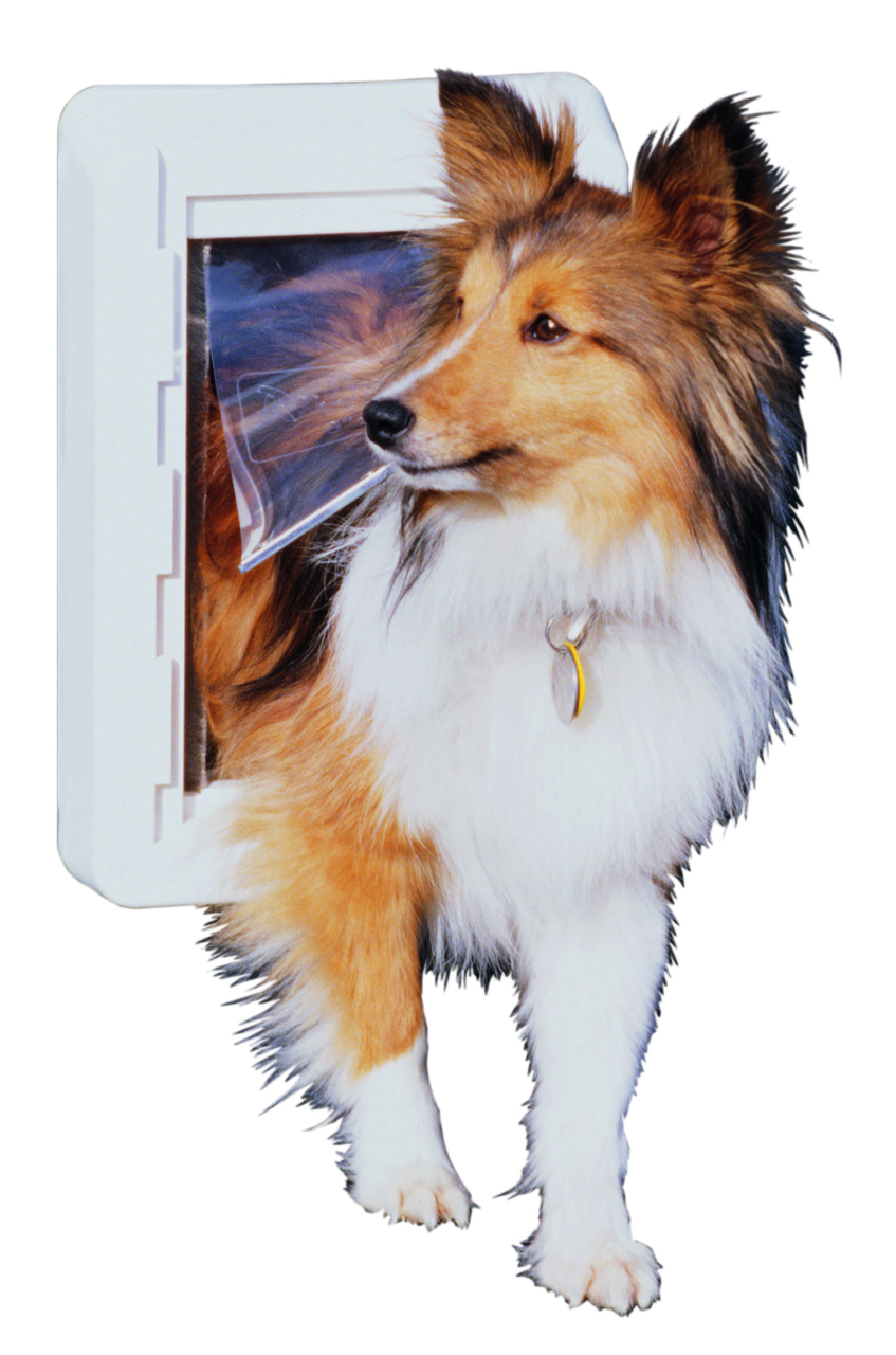 And the Winner Is…Ideal Pet’s RuffWeather Pet Door! Ideal Pet Products