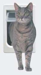 cat-2__24741.1544574070.500.