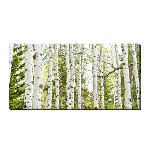 BIRCH FOREST PANEL WALL ART