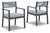 Eden Town Gray/Light Gray Arm Chair With Cushion (Set of 2)