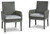 Elite Park Gray Arm Chair With Cushion (Set of 2)