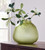 Scottyard Olive Green Vase 10"