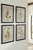 Dyani Brown Wall Art Set (Set of 4)