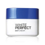 L'Oreal White Perfect Fairness Control Moisturizing Cream Day SPF17 PA++ 50ml