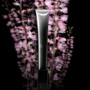 Pola B.A Eye Zone Cream(New)(A) 26g