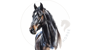 Productos para profesionales del mundo del caballo