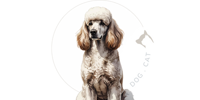 Productos profesionales para peluquería canina y clinica veterinaria