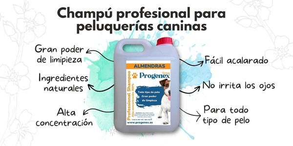 champú profesional para peluquería canina