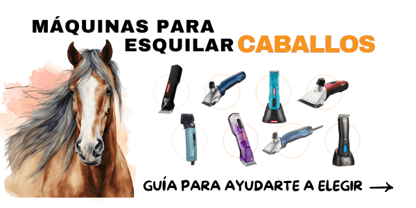 máquinas para pelar caballos