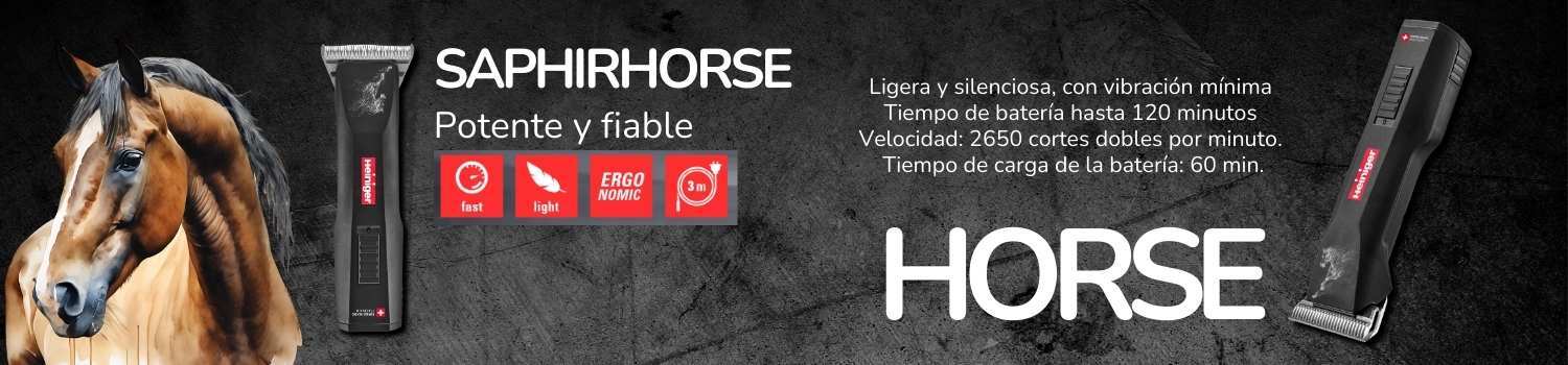 Saphir Horse Heiniger