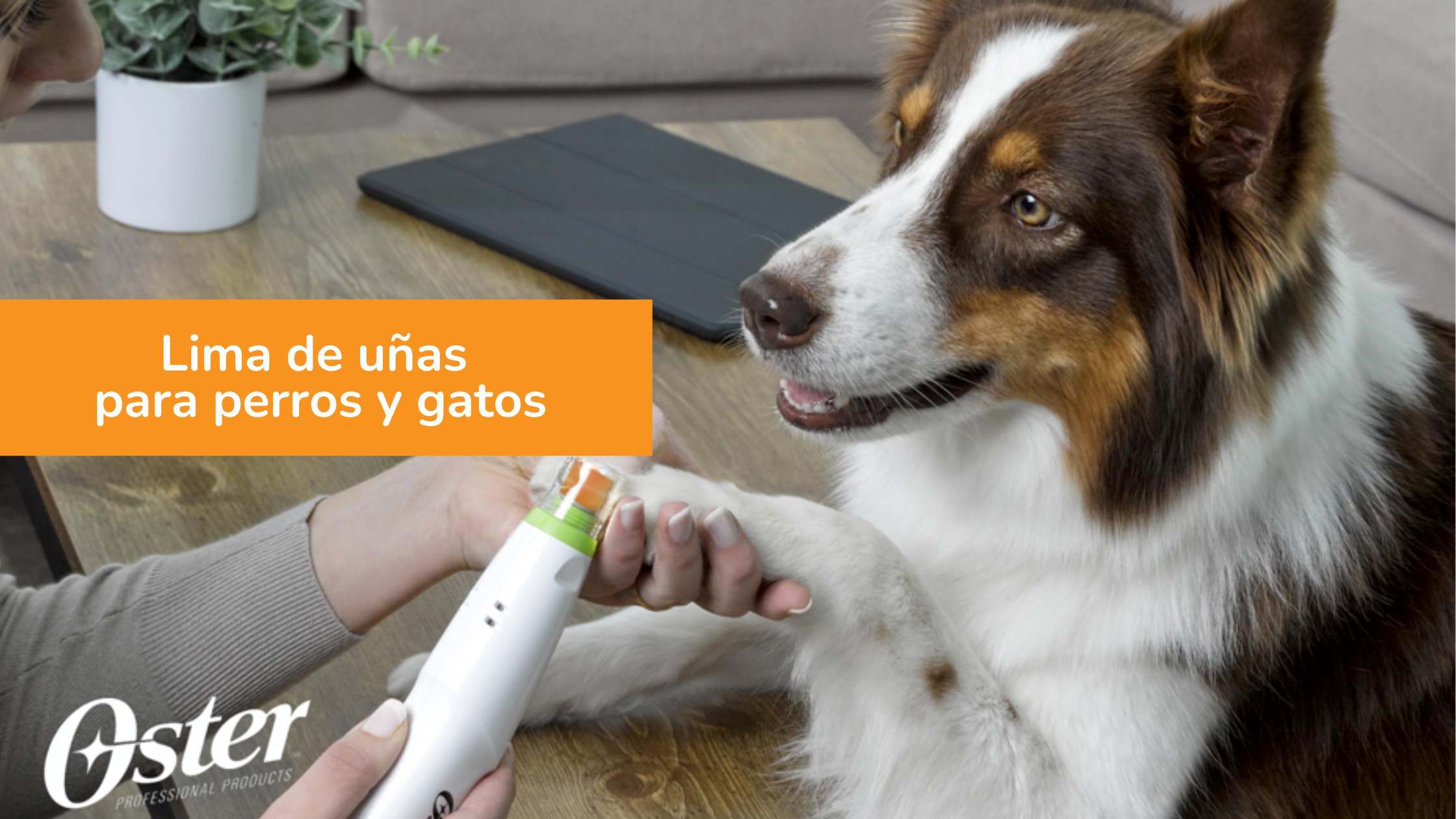 Lima de uñas para perros y gatos de Oster