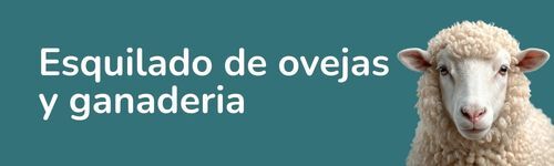Esquileo de ovejas y ganado