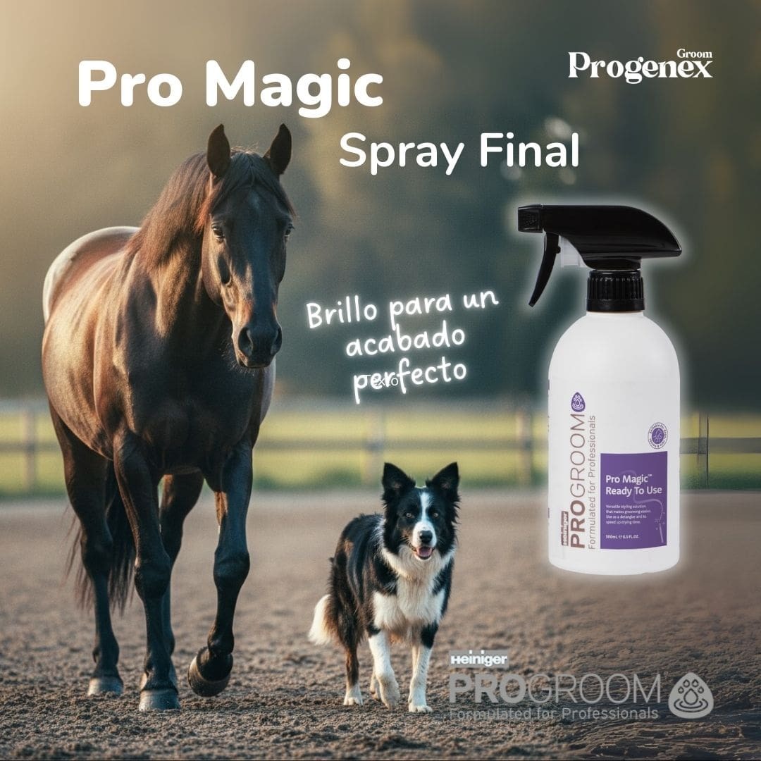 Spray brillo final para caballos y perros