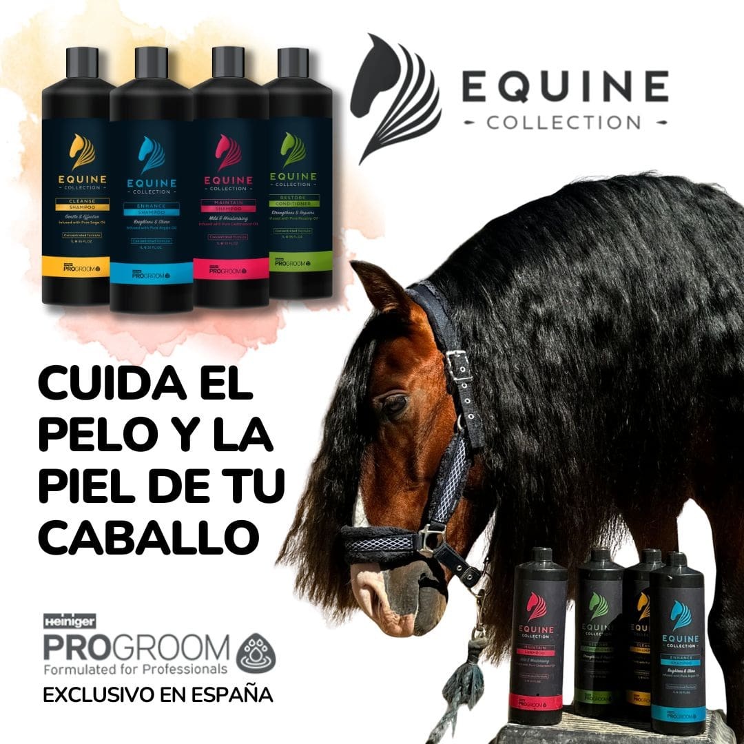 Champú y acondicionador para caballos Heiniger