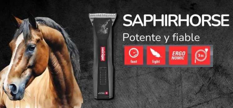 Saphir Horse Heiniger
