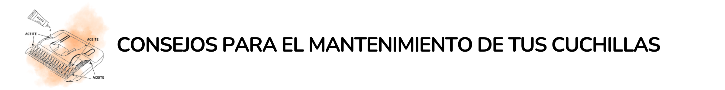 consejos-mantenimiento-de-cuchillas.png