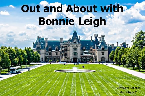 Blog-Out and About with Bonnie Leigh