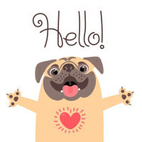 pug-hello-200.jpg