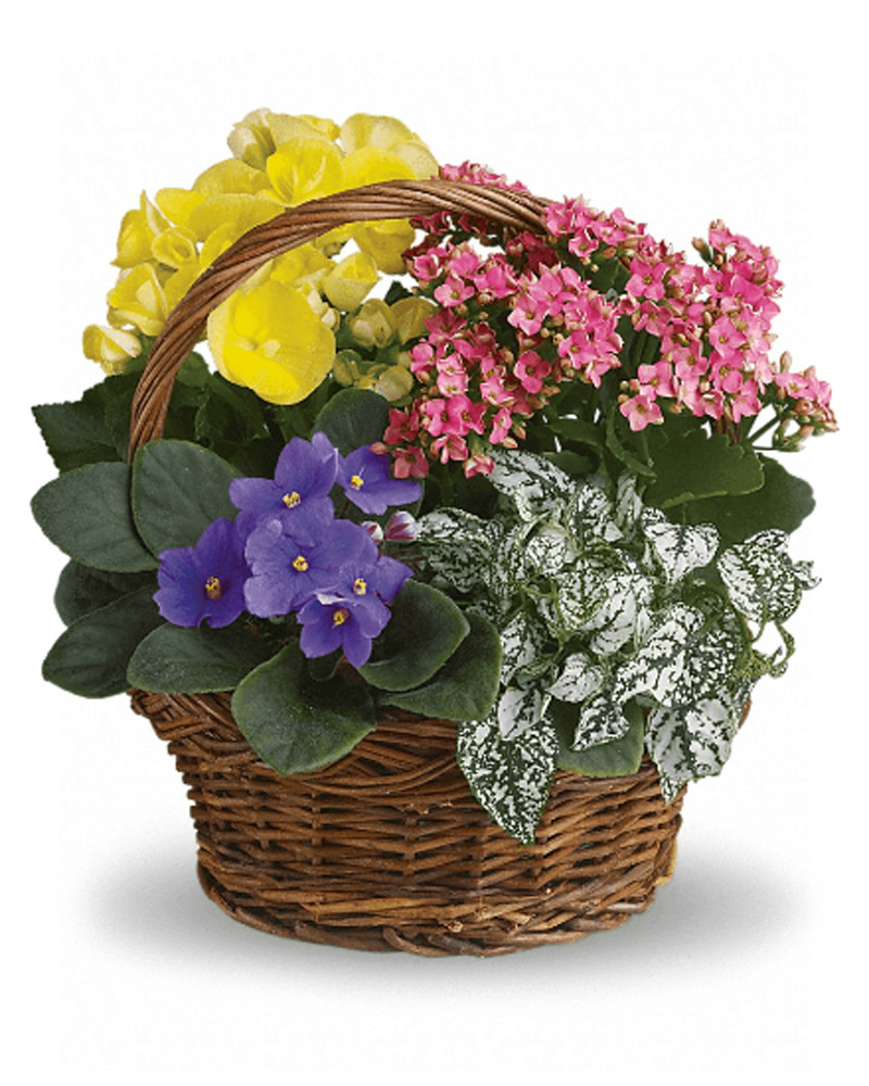 Flower Delivery Portland Florist Oregon Flower Shop 97030 Nancy's