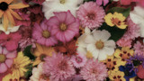 Top 5 Floral Arrangements for Every Occasion from Nancy's Floral