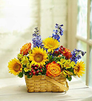 Flowers That Make the Best Last-Minute Father's Day Gifts