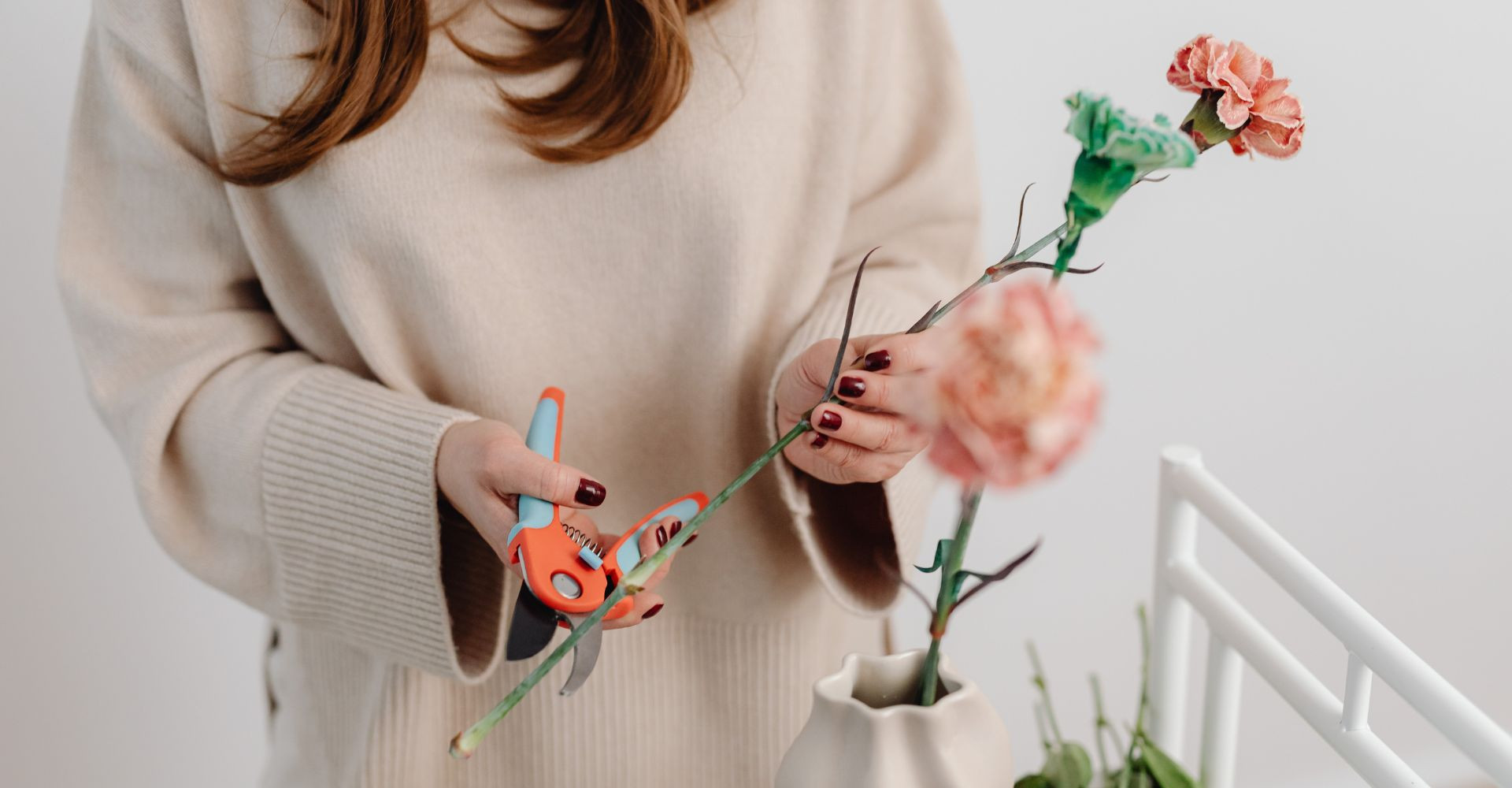 Do Cut Flowers Need Sunlight? Nancy's Floral