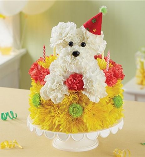 Birthday Wishes Flower Cake™ Pupcake™