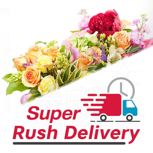 Super Rush Delivery