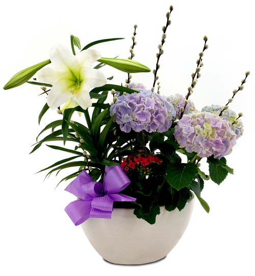 Easter Lily & Blue Hydrangea Planter