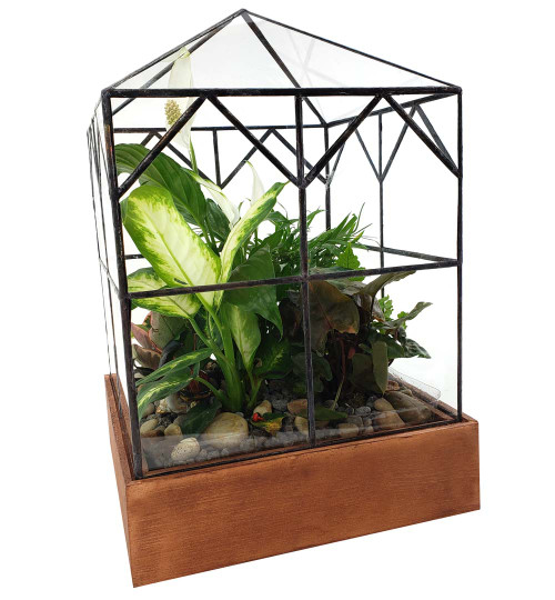 Esau Terrarium