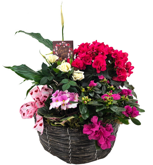 Valentine's European Planted Basket