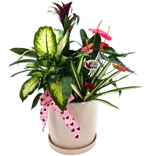 Tropical Valentine's Planter-LG