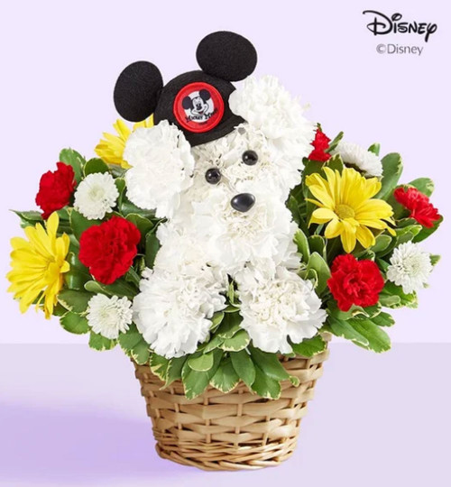 a-DOG-able® Disney Mickey Mouse