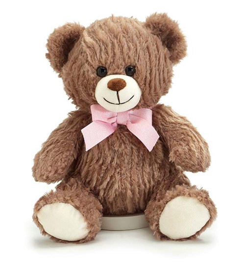Brown Bear with Pink Bow