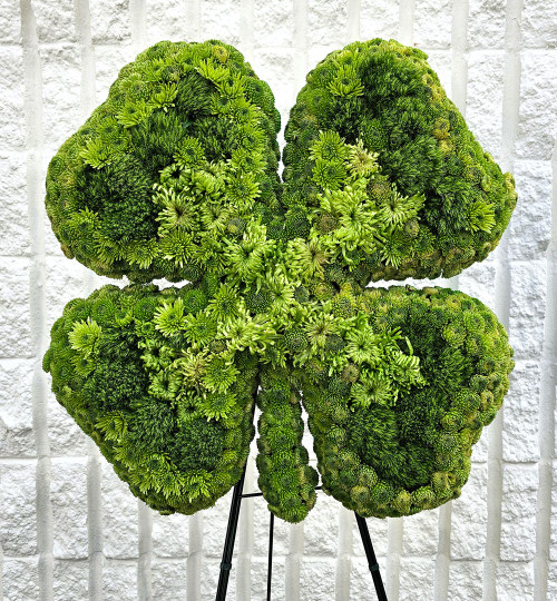 3D four-leaf clover funeral flower tribute with green chrysanthemums