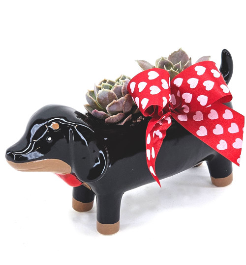 Puppy Love Succulent Planter