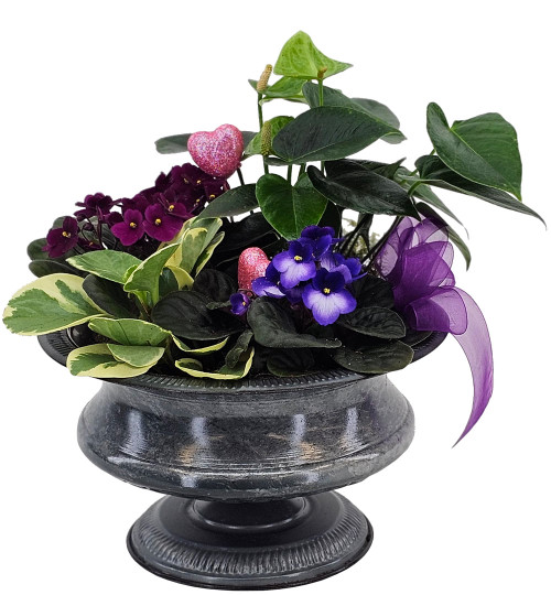 Amethyst Heart Garden Planter