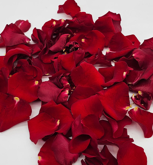 Red Rose Petals