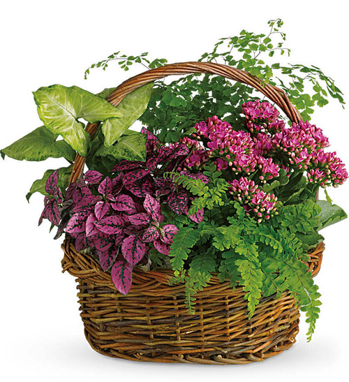 Garden Basket Portland | European Garden Oregon | Flower Basket