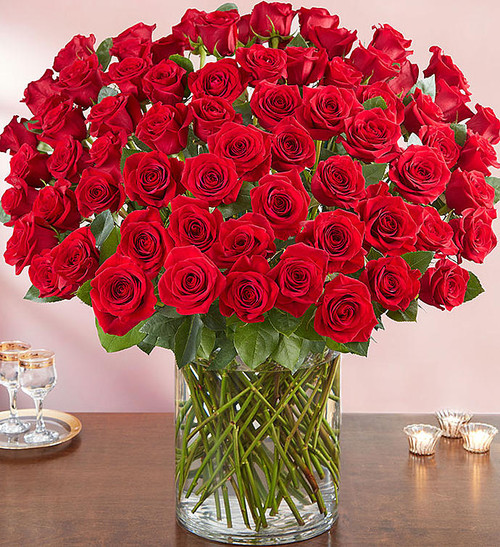 100 Premium Red Roses in a Vase