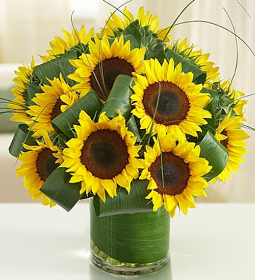 Sun-Sational Sunflowers™