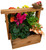 Classic Indoor Planter